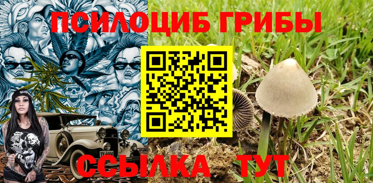 Псилоцибиновые грибы Psilocybe Серпухов